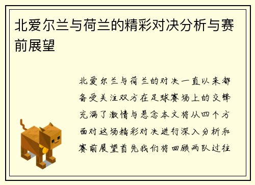 北爱尔兰与荷兰的精彩对决分析与赛前展望